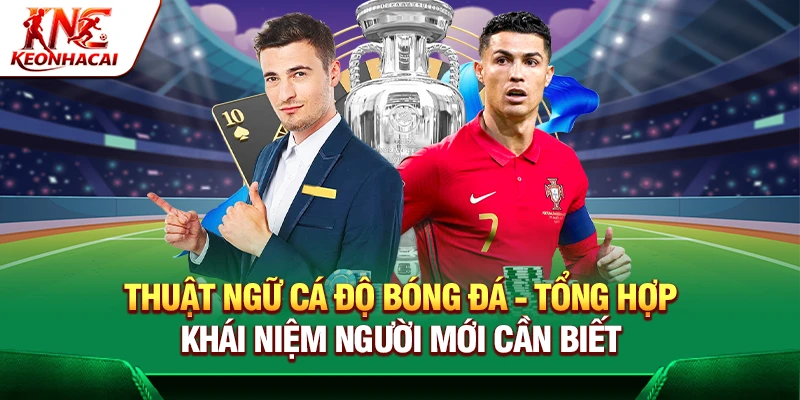 https://modog.com.co/thuat-ngu-ca-do-bong-da/