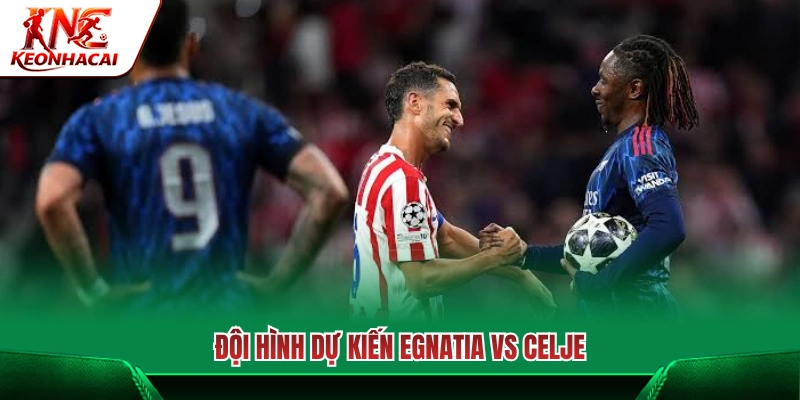 Dự đoán sơ đồ chiến thuật và nhân sự Egnatia vs Celje 